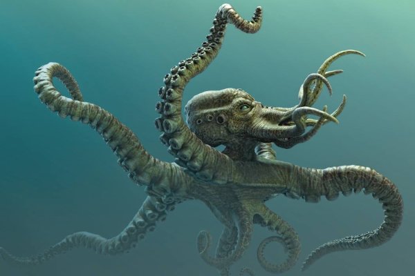 Kraken forum