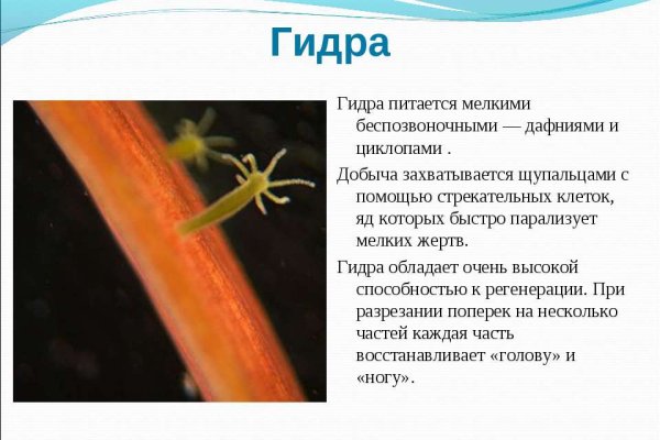 Что за площадка кракен