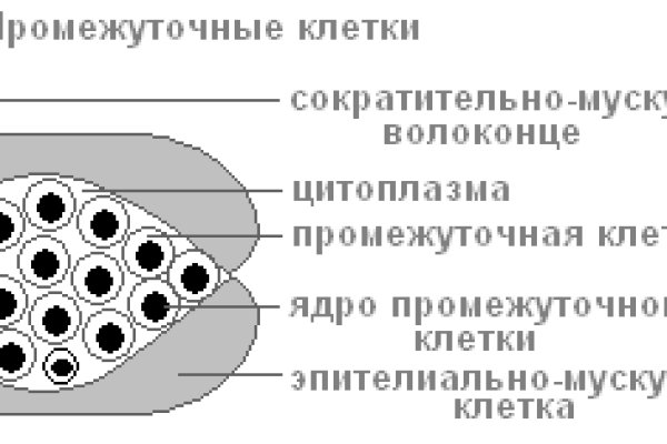 Ссылка на кракен оригинал