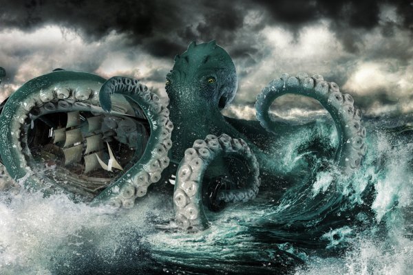 Kraken 19 at