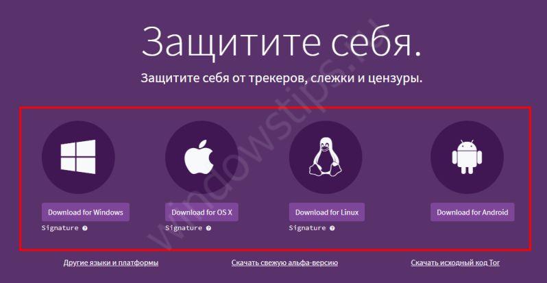 Как вывести деньги с кракена